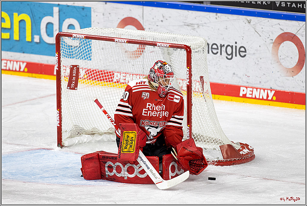 PENNY DEL;  Kölner Haie - Grizzly Wolfsburg; Köln, 21.09.2022